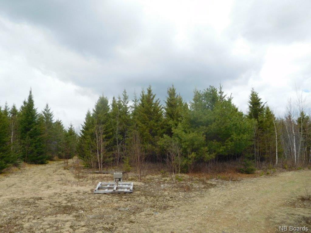 - Green Road, Elgin, New Brunswick, Canada