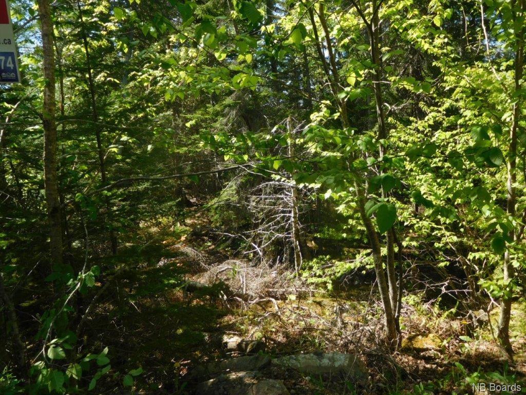 Lot 91-35 Old Public Road, Kennebecasis Island, New Brunswick, Canada
