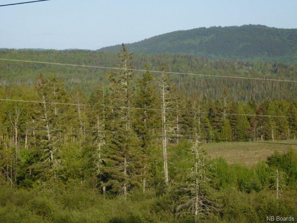 Lot 91-1 Ernest Smith Road, Titusville, New Brunswick, Canada