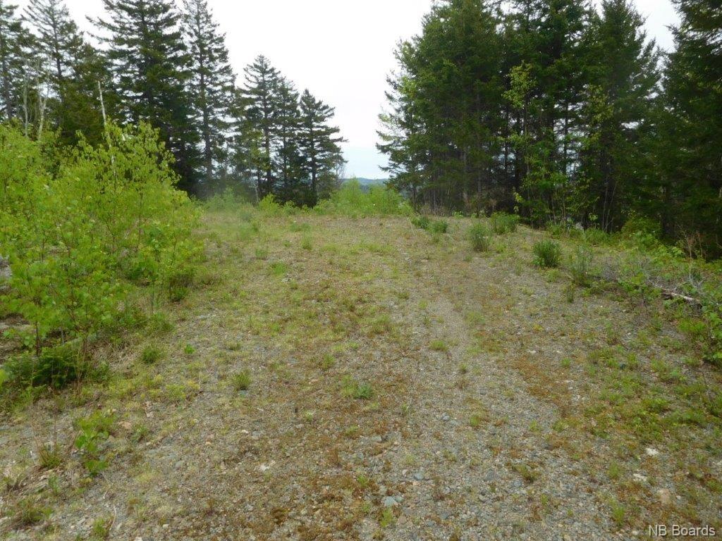 - Rte 845, Clifton Royal, New Brunswick, Canada