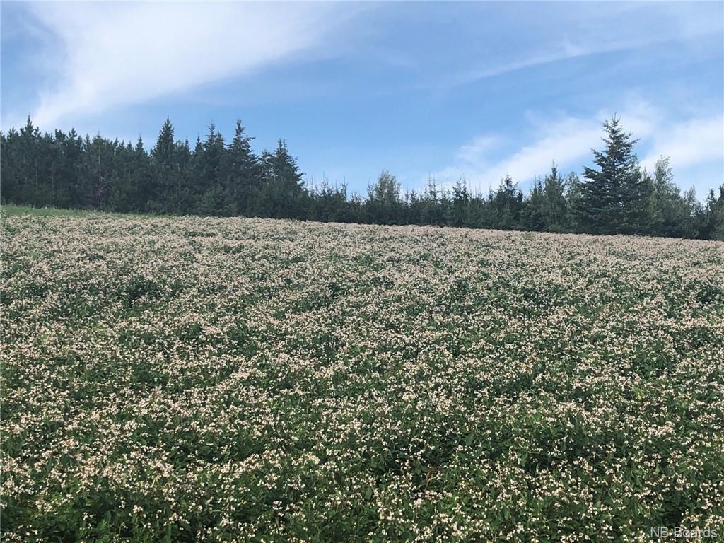 - Quirk Road, Wards Creek, New Brunswick, Canada
