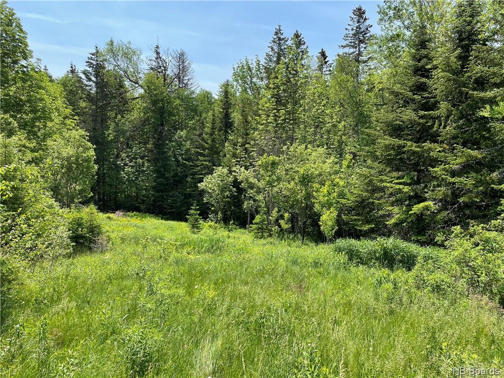 539 Millbrook Road, New Line Road, New Brunswick, Canada