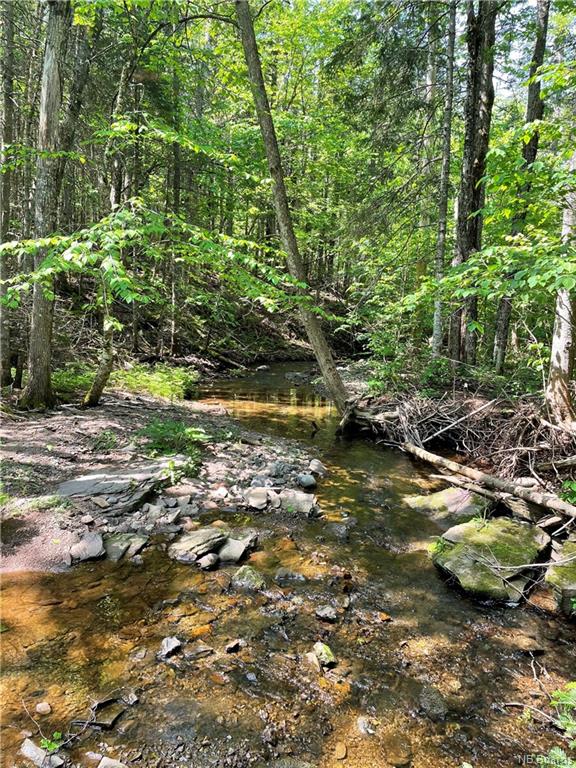 539 Millbrook Road, New Line Road, New Brunswick, Canada