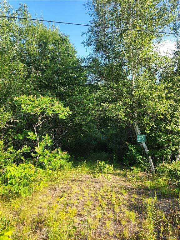 Lot 2012-2 Elm Hill Road, Central Hampstead, New Brunswick, Canada