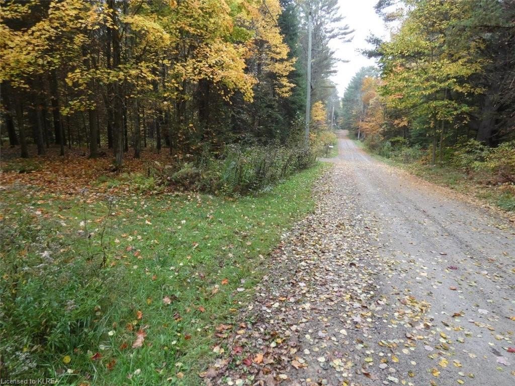33 The Avenue Street, Kinmount Ontario, Canada