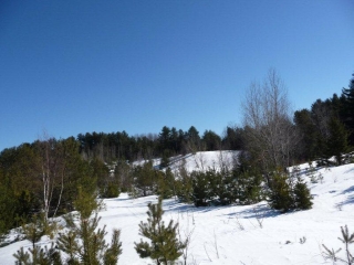 4730 County Road 121, Minden Hills Ontario, Canada