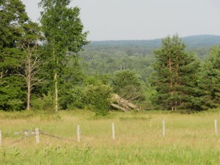 Pt Lot 15 Woodcock Line, City Of Kawartha Lakes Ontario, Canada