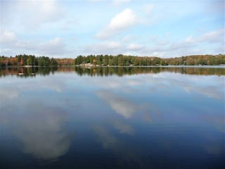 Lot 7 Crego Lake Rd, Kinmount Ontario, Canada