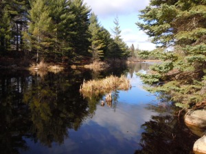 Off Swinson/davis Lake Road, Minden Ontario, Canada