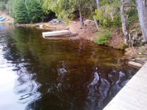 Lot 8 Cannonball Lake, Irondale Ontario, Canada