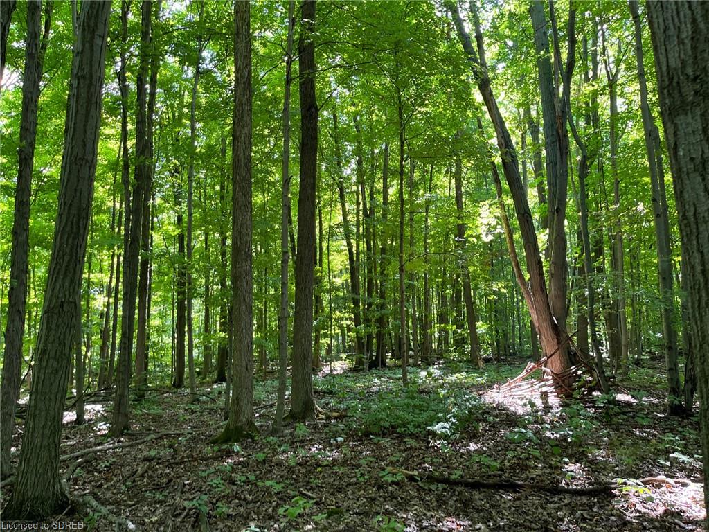 O STONEY CREEK ROAD Road, York, Ontario, Canada