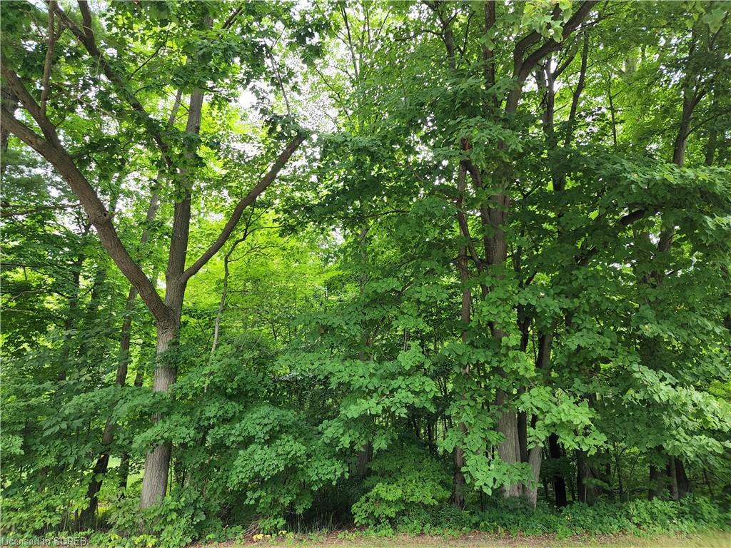 PT LOT 20 7 CONCESSION Road, Simcoe, Ontario, Canada