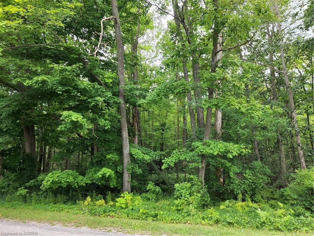 PT LOT 20 7 CONCESSION Road, Simcoe, Ontario, Canada