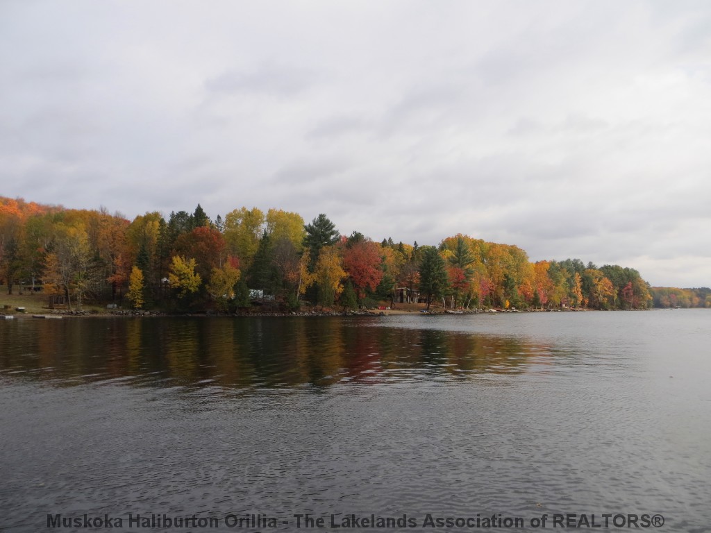 1043 AUTUMN LANE, Haliburton, Ontario, Canada
