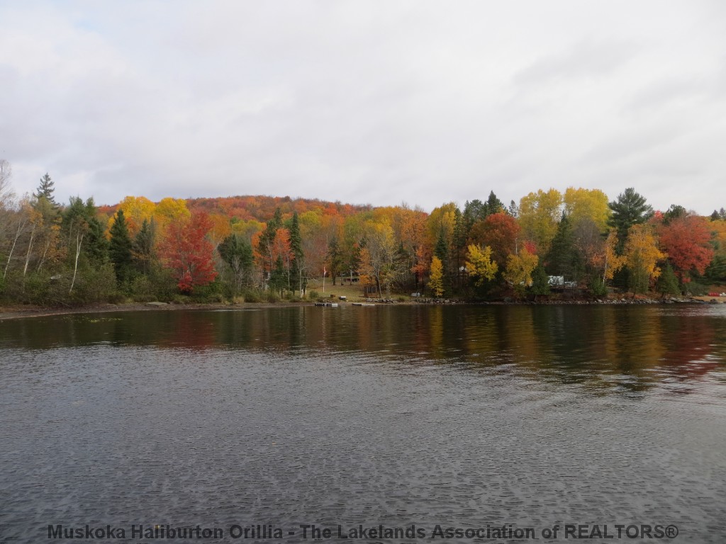 1043 AUTUMN LANE, Haliburton, Ontario, Canada