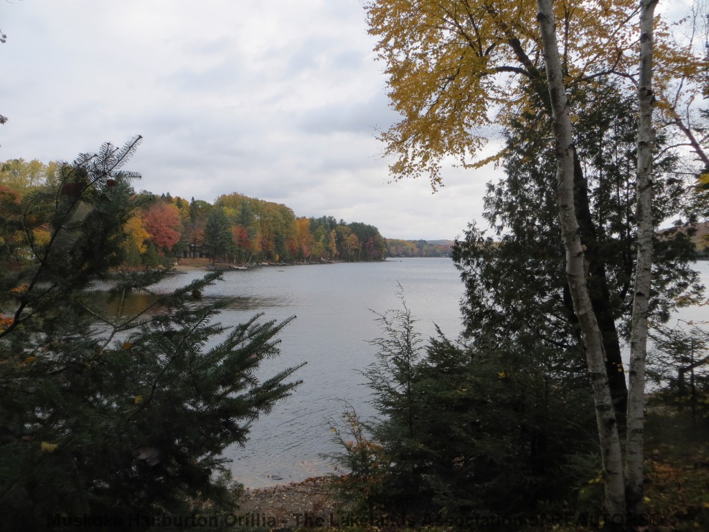1043 AUTUMN LANE, Haliburton, Ontario, Canada