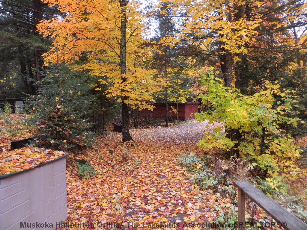 1043 AUTUMN LANE, Haliburton, Ontario, Canada