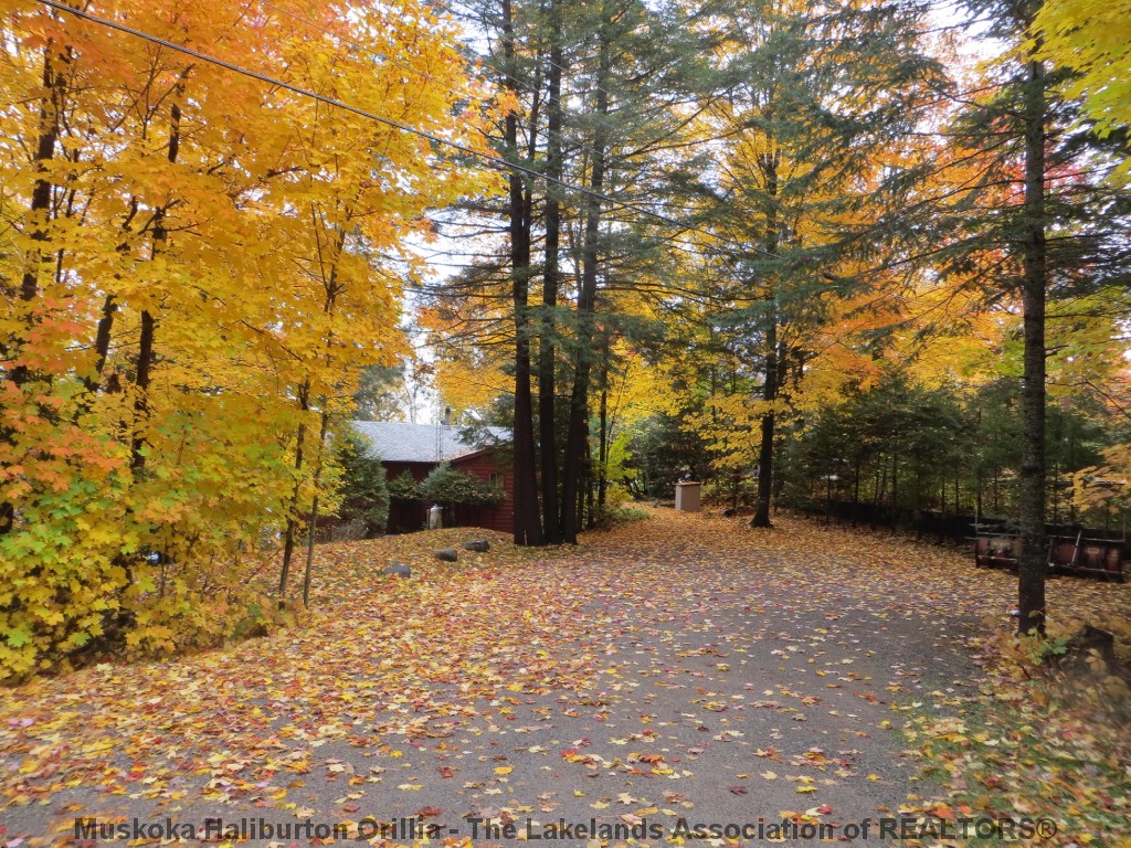 1043 AUTUMN LANE, Haliburton, Ontario, Canada