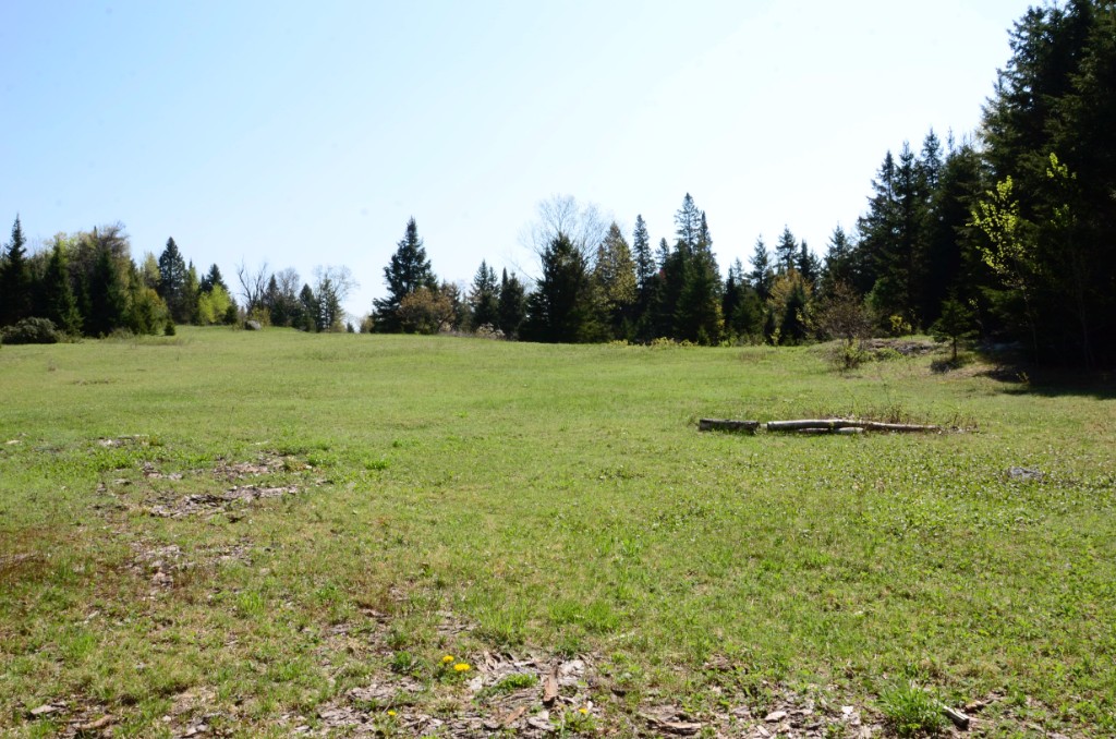 10736 COUNTY ROAD 503, Gooderham, Ontario, Canada