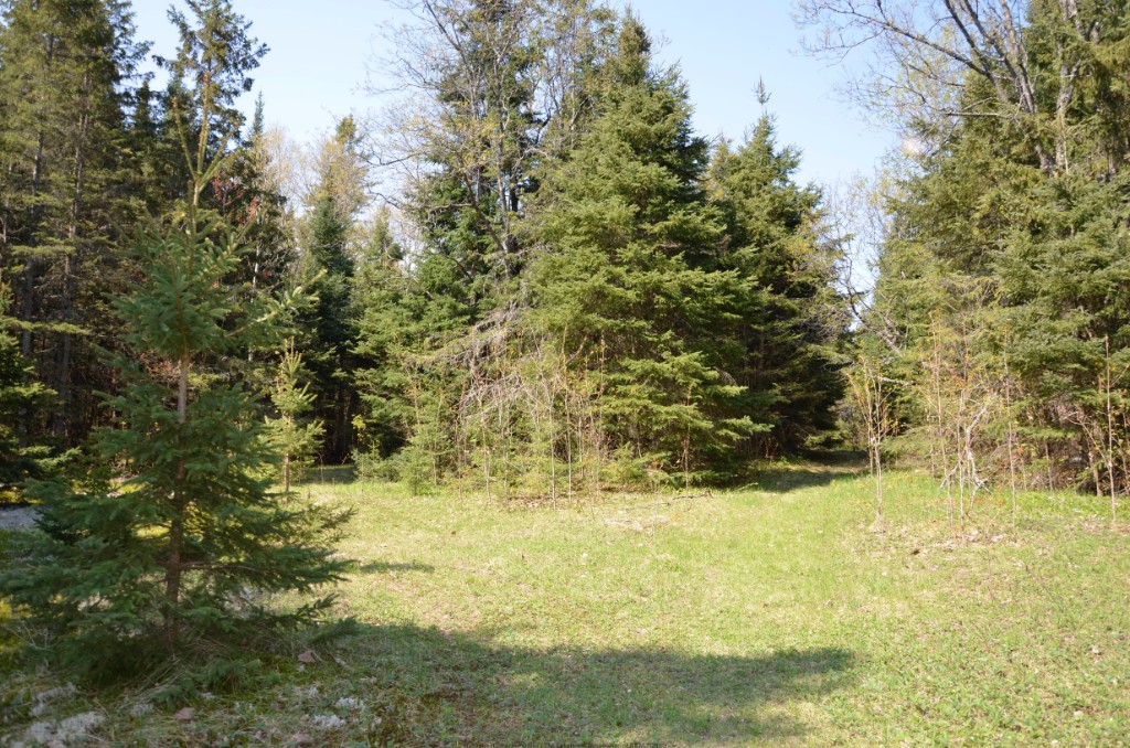 10736 COUNTY ROAD 503, Gooderham, Ontario, Canada