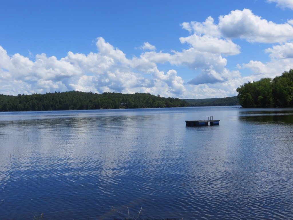 1377 DARDANELLES RD, Haliburton, Ontario, Canada