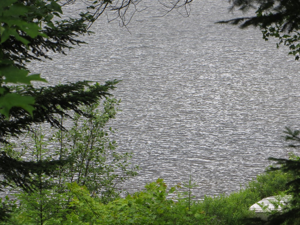 1377 DARDANELLES RD, Haliburton, Ontario, Canada