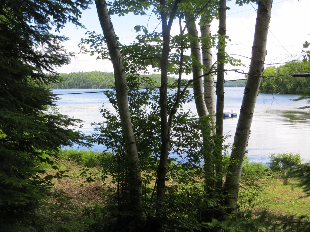1377 DARDANELLES RD, Haliburton, Ontario, Canada