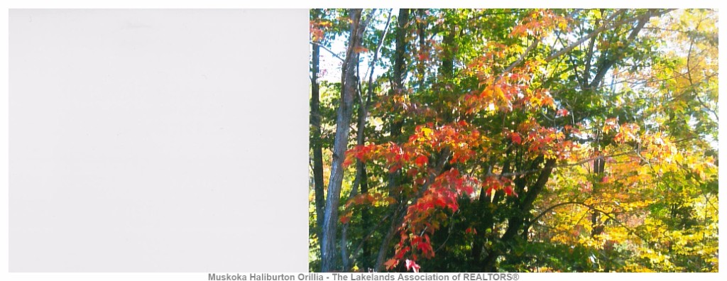 1377 DARDANELLES RD, Haliburton, Ontario, Canada