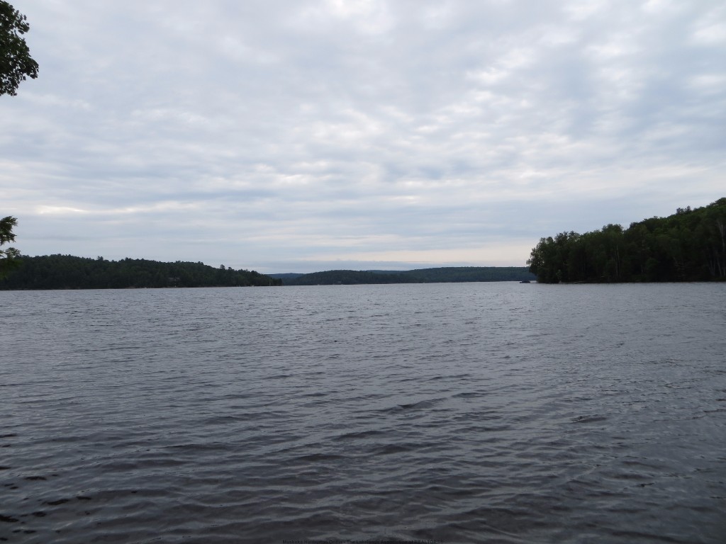 1359 DARDANELLES RD, Haliburton, Ontario, Canada