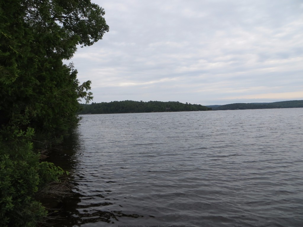 1359 DARDANELLES RD, Haliburton, Ontario, Canada