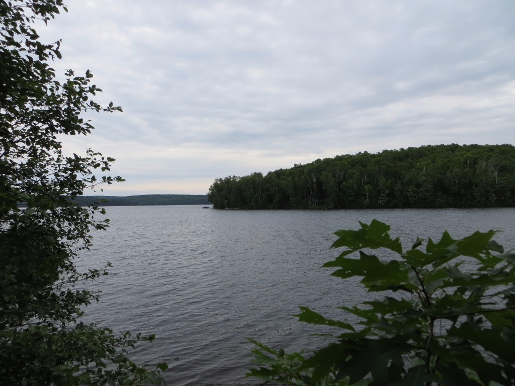 1359 DARDANELLES RD, Haliburton, Ontario, Canada