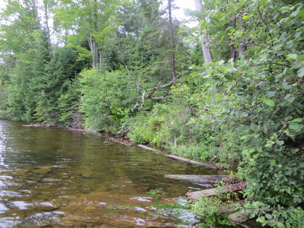1359 DARDANELLES RD, Haliburton, Ontario, Canada