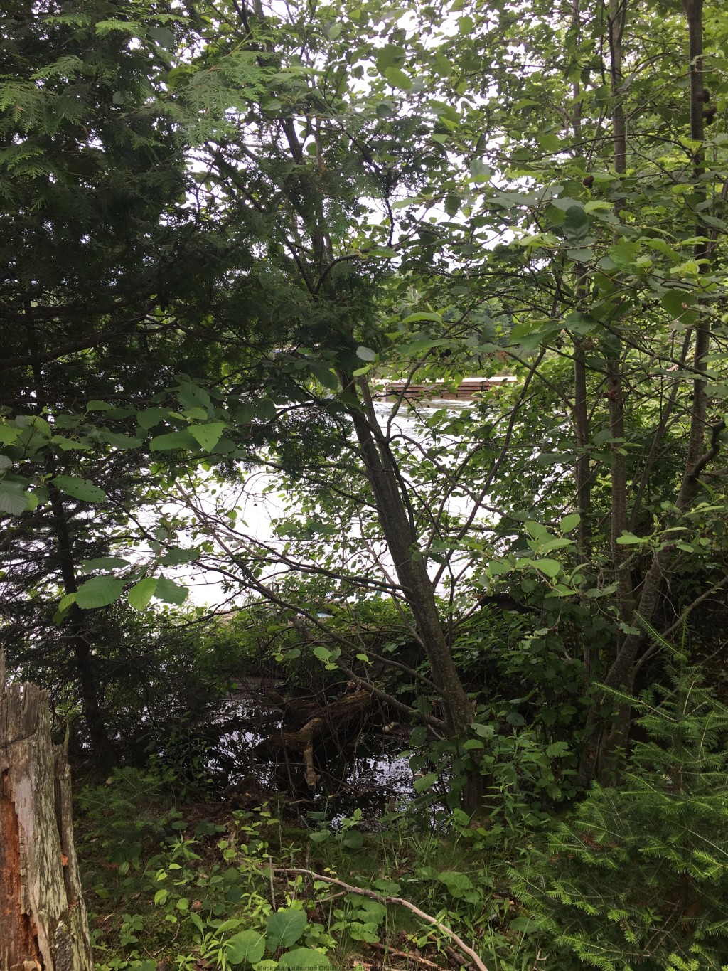 1359 DARDANELLES RD, Haliburton, Ontario, Canada