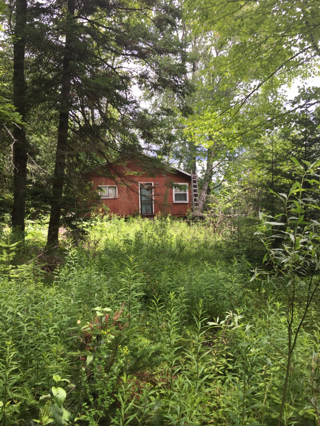 1359 DARDANELLES RD, Haliburton, Ontario, Canada