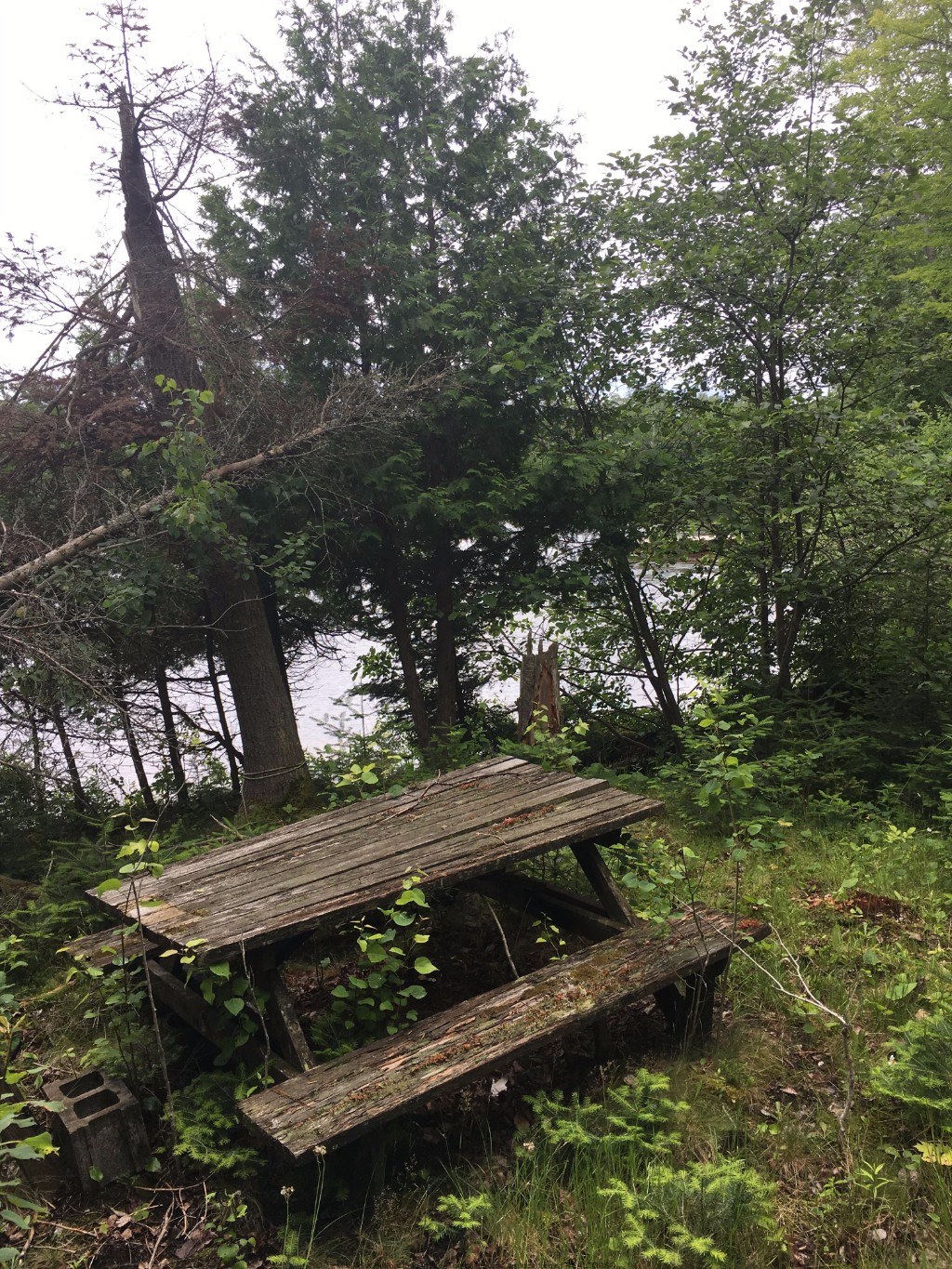 1359 DARDANELLES RD, Haliburton, Ontario, Canada