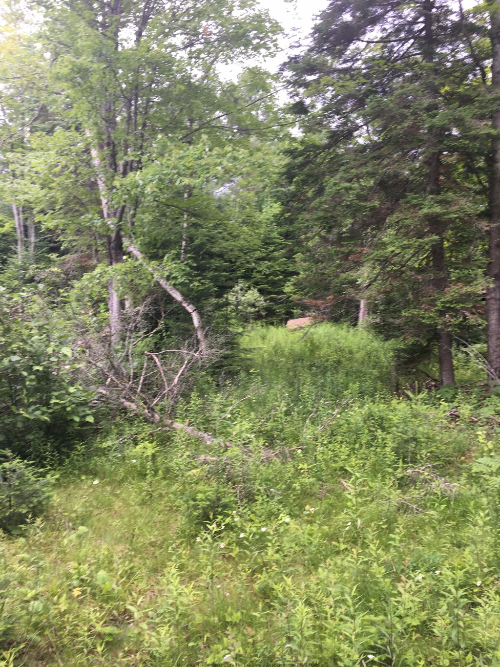 1359 DARDANELLES RD, Haliburton, Ontario, Canada