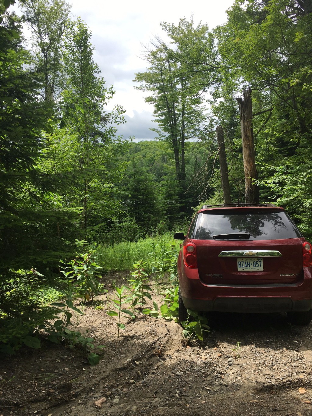 1359 DARDANELLES RD, Haliburton, Ontario, Canada