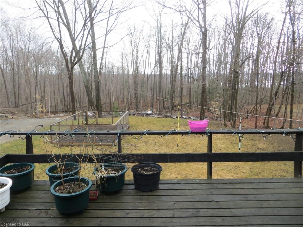 3282 COUNTY ROAD 21 Road, Minden, Ontario, Canada