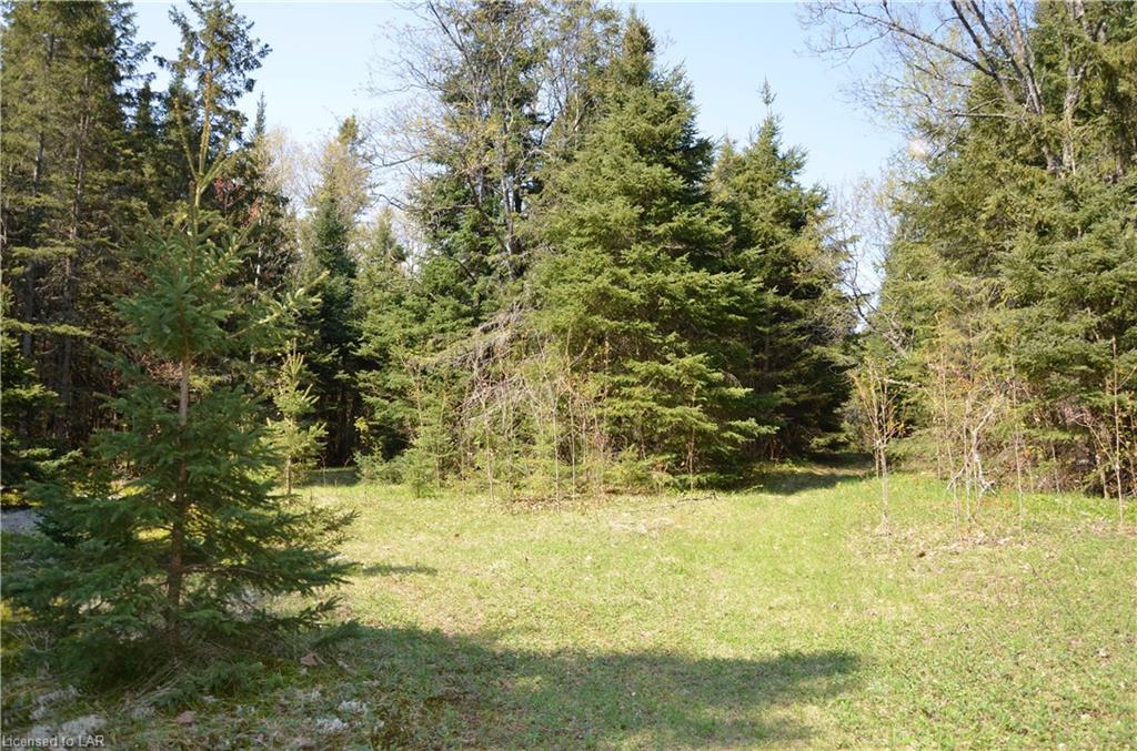 10736 COUNTY ROAD 503 Road, Gooderham, Ontario, Canada