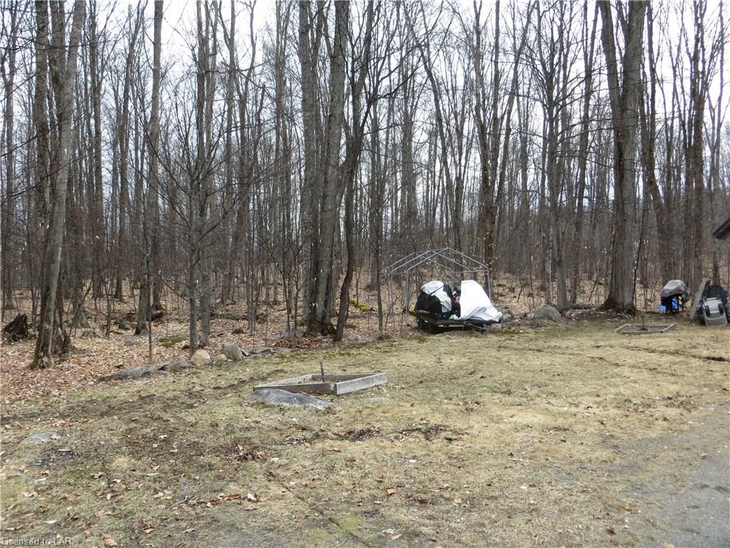 1169 LONG LAKE Road, Haliburton, Ontario, Canada