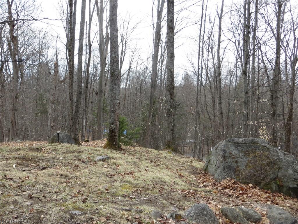 1169 LONG LAKE Road, Haliburton, Ontario, Canada