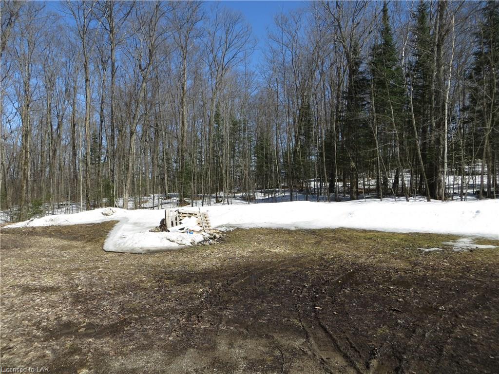 3274 COUNTY ROAD 21 ., Minden Hills, Ontario, Canada