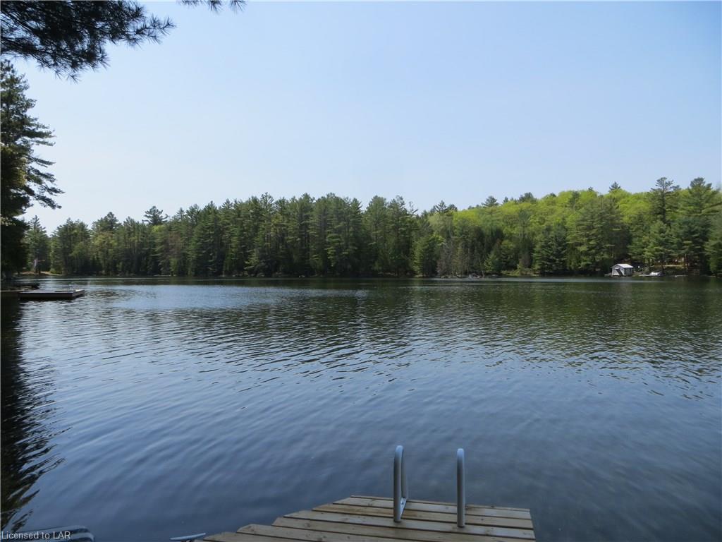 1339 BILLINGS LAKE Road, Gooderham, Ontario, Canada