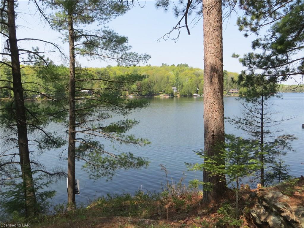 1339 BILLINGS LAKE Road, Gooderham, Ontario, Canada