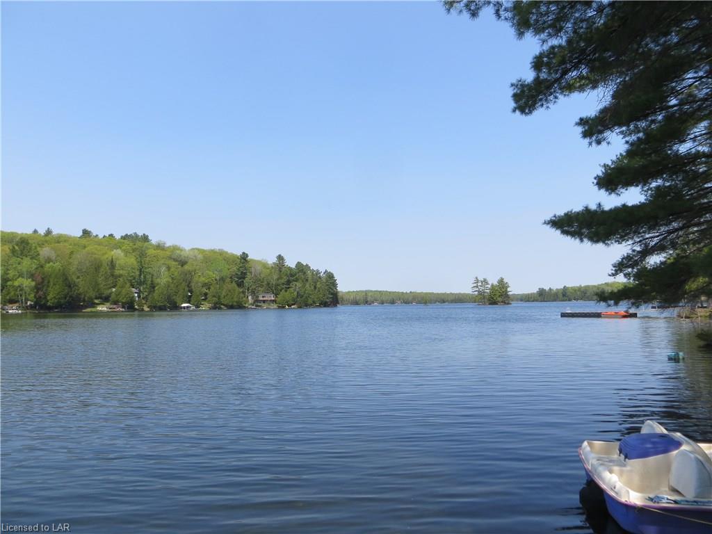 1339 BILLINGS LAKE Road, Gooderham, Ontario, Canada