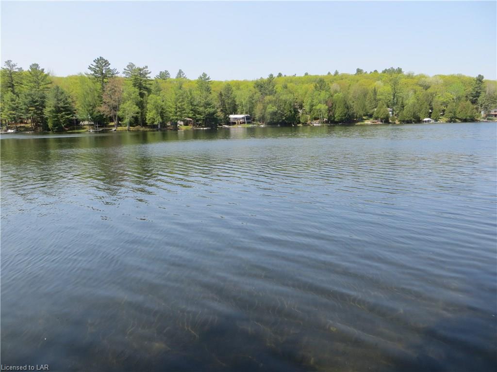 1339 BILLINGS LAKE Road, Gooderham, Ontario, Canada