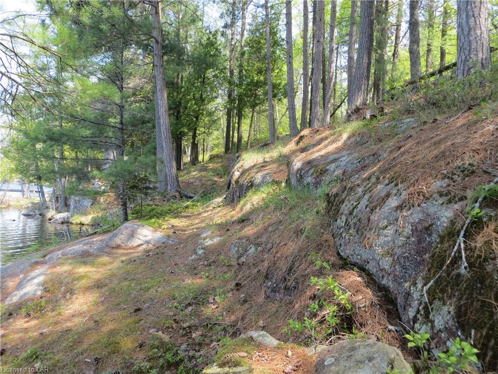 1339 BILLINGS LAKE Road, Gooderham, Ontario, Canada