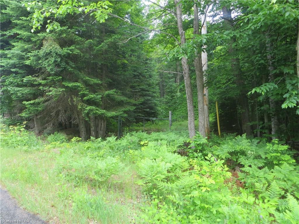BURLEIGH Road, Wilberforce, Ontario, Canada
