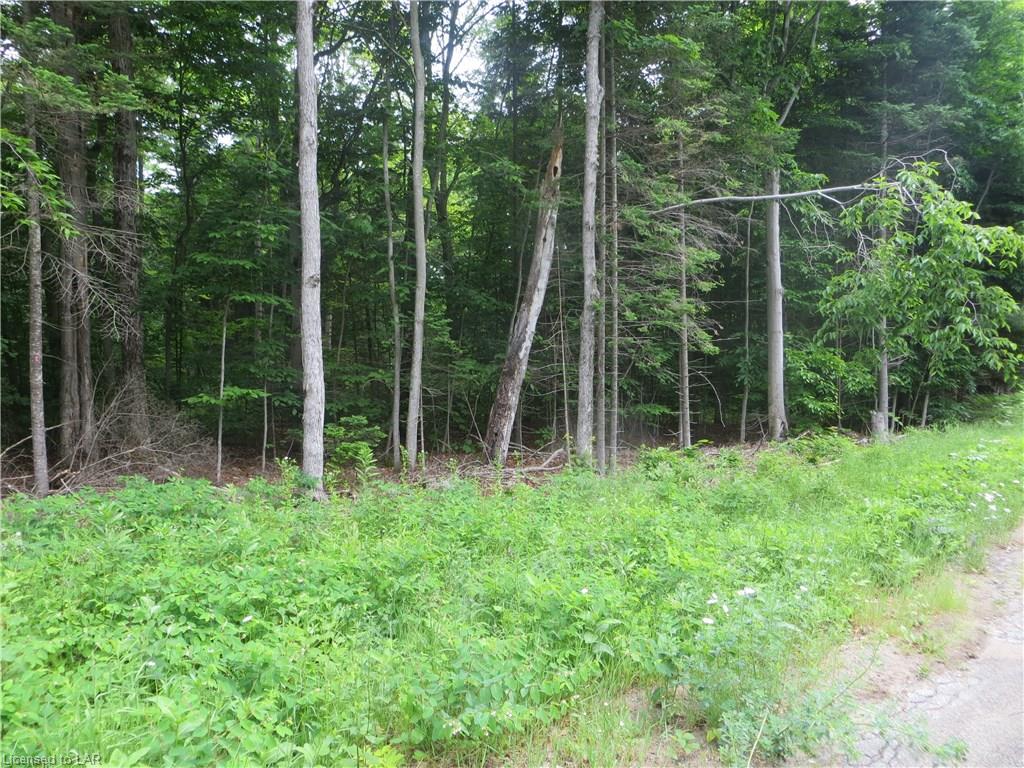 BURLEIGH Road, Wilberforce, Ontario, Canada