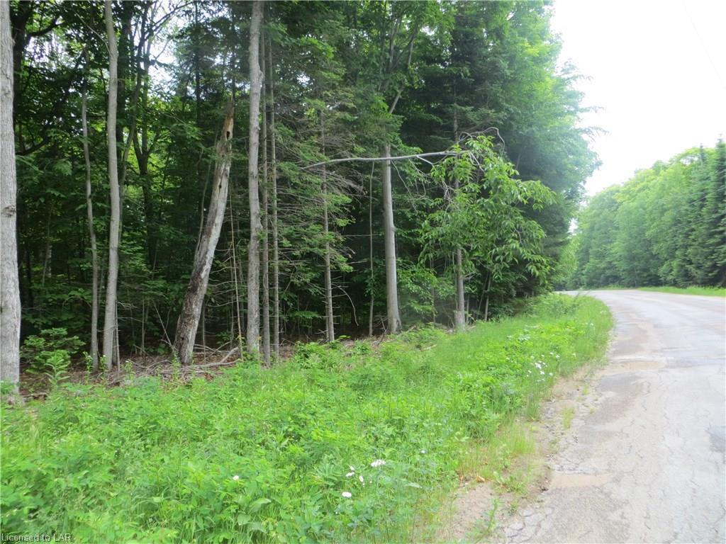 BURLEIGH Road, Wilberforce, Ontario, Canada